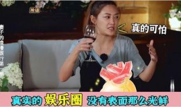 娱乐圈内幕爆料数字,数字背后的惊人真相