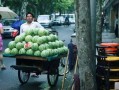 杭州路边免费吃瓜,免费吃瓜成新风尚，共享清凉好时光