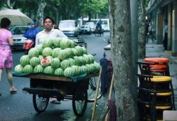 杭州路边免费吃瓜,免费吃瓜成新风尚，共享清凉好时光
