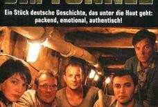 电影同道在线观看,网络世界的情感共鸣之旅