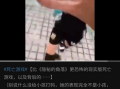 在线观看的邪恶视频,一场邪恶视频引发的深思