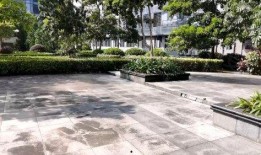 上沙塘晏村爆料新闻最新,最新爆料揭示惊人真相