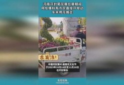 开封网民爆料最新新闻,揭秘古城新动态，聚焦民生热点事件