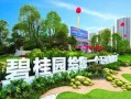 青县碧桂园爆料案件最新,揭秘背后惊人真相