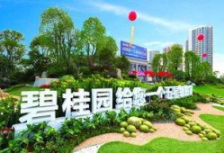 青县碧桂园爆料案件最新,揭秘背后惊人真相